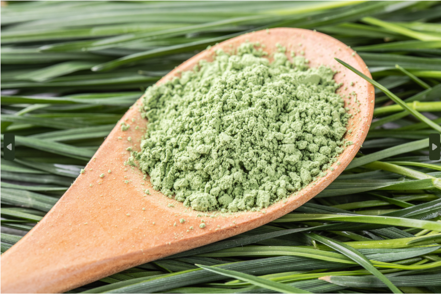 Barley/Wheat Grass Powder