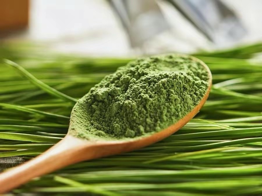 Organic Barley Grass Powder