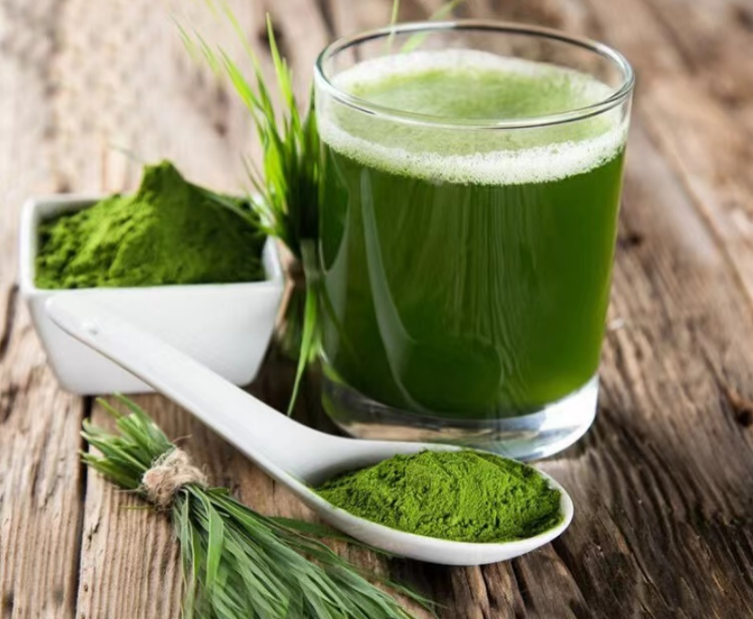 Wheat Grass VS Barley Grass